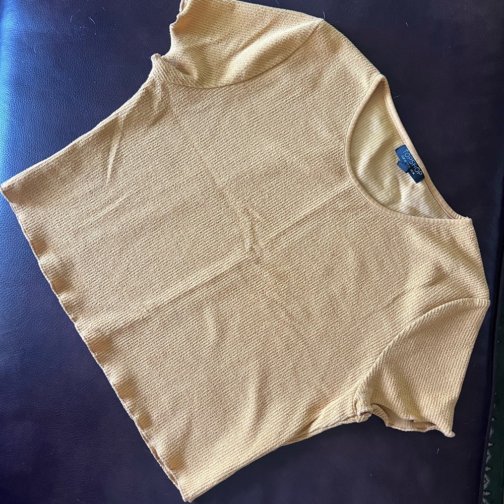 Brand new never worn TopShop crop top